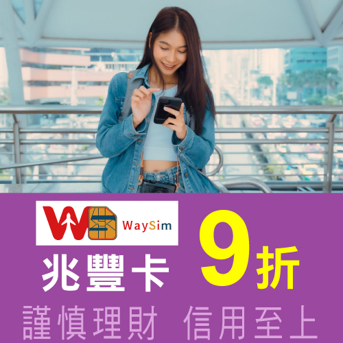 WaySim