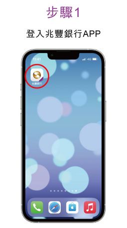 ApplePayinapp1